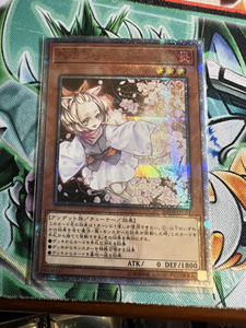 000人付款淘宝游戏王红碎灰流丽,带卡砖,详情私聊tb81669669520.