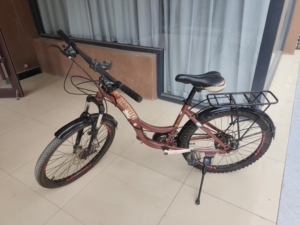 金士顿自行车-淘宝拼多多热销金士顿自行车货源拿货 - 阿里巴巴货源