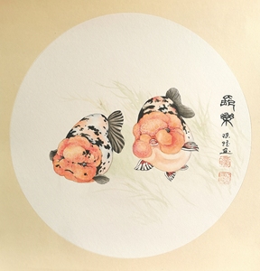 兰寿金鱼画
