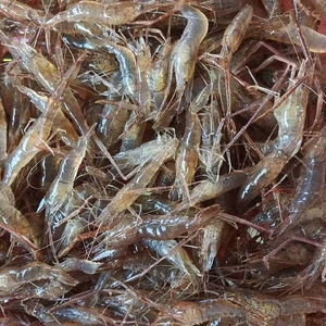 90hujian820427淘宝野生淡水小虾干河虾干红大虾干虾无盐水产虾子
