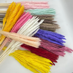 干花,狼尾草,大毛针.十支起批,价格可议,量大从优.自家工厂