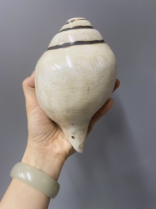 jinsawangluo淘宝金萨商店 尼泊尔手工包铜右旋海螺藏式法螺法器供