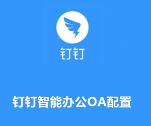 钉钉打卡app下载安装_钉钉打卡软件下载_钉钉打卡下载安装