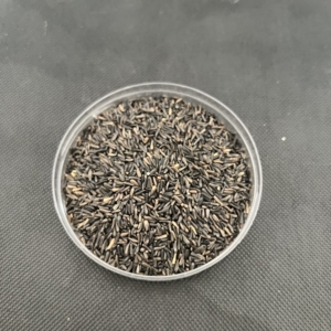 黑尖,尼日尔草籽.玉鸟,芙蓉鸟粮.一斤.价格30元包邮