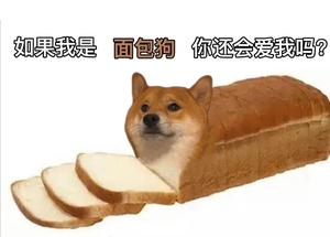 面包狗(图片可保存 因为这图是我从别人那保存的)单身狗:)快