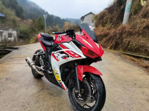 小忍者国产r3   双杠水冷350cc  手续齐全 上牌带证