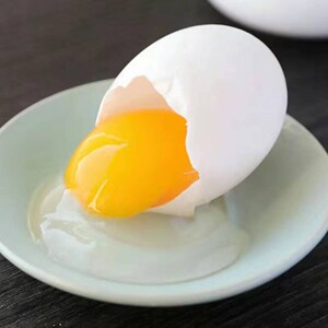 福建连城白鹭鸭蛋农家散养白鸭蛋新鲜现捡包邮