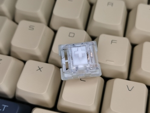 (全新)康腾特白轴 康白v3轴体 180颗.110元罐装包邮