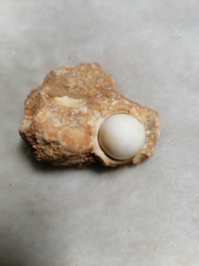 龙宫舍利石