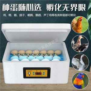 家用小型机器孵鸡蛋的小鸡电浮鸡浮化器孵化器孵蛋器全自动智能
