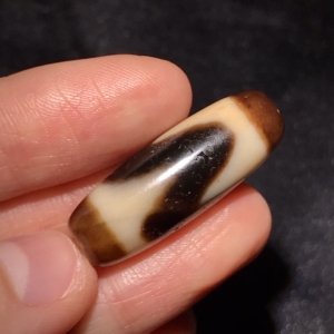 台湾上肯老料牙黄虎牙天珠,158/颗(包邮不议价)