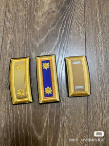 美国陆军公发军版原版常服asu礼服硬肩章 army
