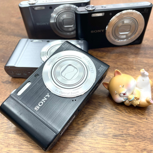 索尼dsc-w810 便携数码相机/照相机/卡片机 高清摄像