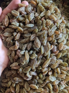 新疆吐鲁番葡萄干,二级北极王大颗粒酸甜口感,煮饭,泡水,做月