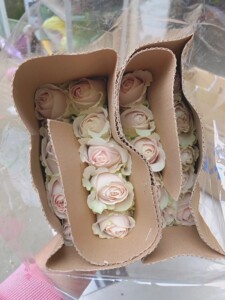 中国旭东鲜花包装淘宝新款鲜花包装报纸向往的生活英文报花店花束