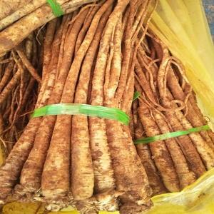 云南新鲜臭参 现挖当季孕妇营养煲汤食材地人参云参小人参包邮