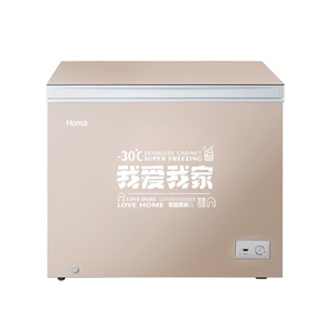 奥马(Homa)璀璨棕 冷柜卧式 一级能效 节能省电家用商用