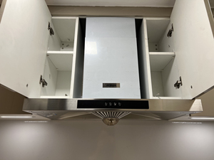 老板抽油烟机cxw-200-8103,几乎全新,只用了一个月