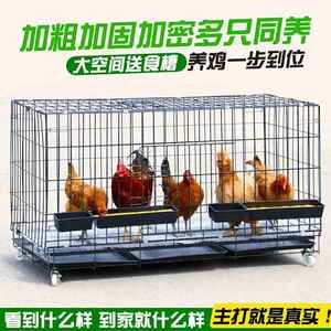 关鸡鸭的笼子农村养鸡笼鸡笼防黄鼠狼关小鸡的笼子专业养鸡笼家用