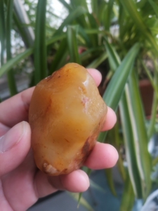 黄蜡冻石-淘宝拼多多热销黄蜡冻石货源拿货 - 阿里巴巴货源