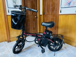 电动车 折叠电动车 追风鸟 闲置可折叠电动/自行车～电池可拆