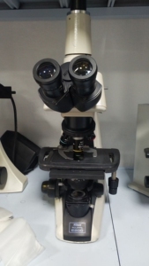 尼康e200三目教学实验显微镜成像拍照4x,10x,40x,100x油镜晨曦的