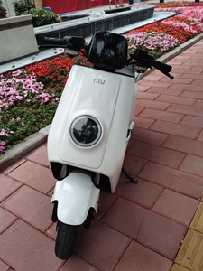 小牛n1s动力版nqi名邦二手电动车锂电池白色