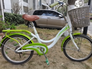 20寸蓝岛成人自行车,保养,调试好,骑起来绝对轻快,看车在西