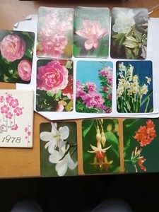 1978年北京广播电台花卉年历卡片一套10枚全并带封套。10