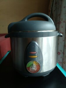 转让闲置95新的爱德电高压锅,在工地上用了一个月不到,闲置至