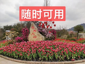 花舞人间门票 新津花舞人间特价票成人49.9含玻璃桥,16岁