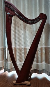 000人付款淘宝换大琴,转salvi38弦进口竖琴,型号tita