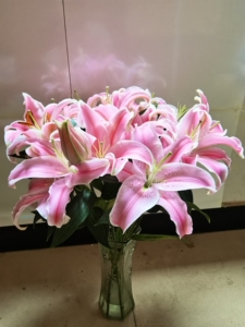 基地直销粉百合索邦30个花包送可利鲜一包