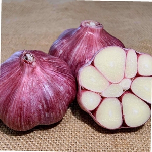 【超低价】山东紫皮大蒜头10斤批发价