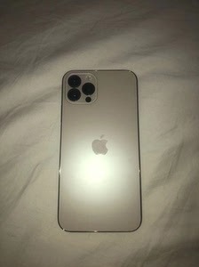 iphonex 256g 改12pro 电池100 金色 9