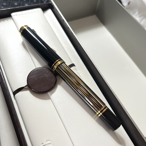 百利金m400棕乌龟