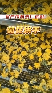 龙鑫牌菊花烘干机，移动烘干房，可以烘干药材果蔬菌类，香菇蘑菇