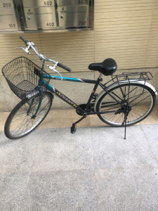 捷安特玛斯特内三速自行车 捷安特内三速自行车 内三速26自行