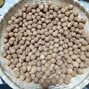 北京郊区野生核桃文玩把玩脑纹山野迷你小核桃手串项链挂件配饰装