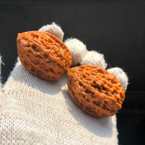 沈阳鸡心核桃