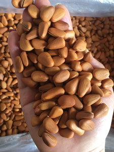 新松子58一斤开口松子红松松子2022年东北纯野生 , 颗粒