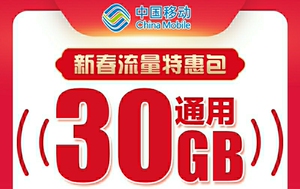 广东移动流量 30g 30天 1元 真实有效 需要联系客服