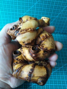 竹鞭竹根文玩异形竹鞭手把件,存放了5年干料,去毛刺干净,打磨