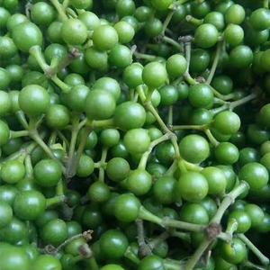 野生山胡椒木姜子山苍子新鲜现摘山椒子下饭菜调料木浆子酱子