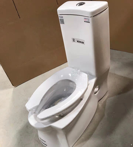 科勒蹲坐两用马桶一体坐蹲两用式坐便器双用座便器高支架盖板