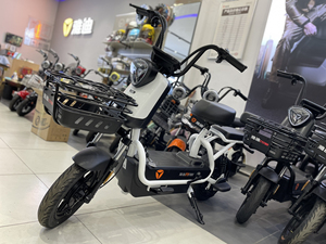 雅迪小飞象4.0  满电续航100km 冠能电机 石墨烯电池