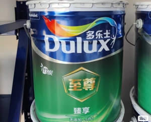 多乐士至尊竹炭五合一
