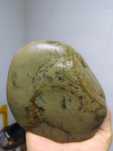 "一棵树"人物石长江奇石长江石原石金沙江奇石美石黄金水墨石墨