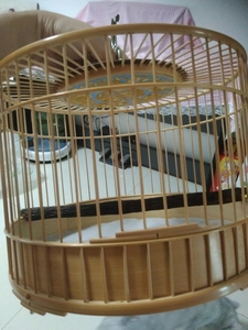 涿州于红伟56条鸟笼,笸箩底,宏记盖板,刘银龙鸟钩,紫藤杠