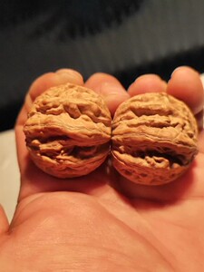 粗筋核桃手捻西瓜纹正圆矮桩秋子手捻,纹路深,西瓜纹,肉度饱满